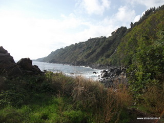 uccio-13-11-2012 09-20-38